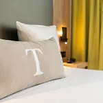 Maison Turenne 4* 科尔马