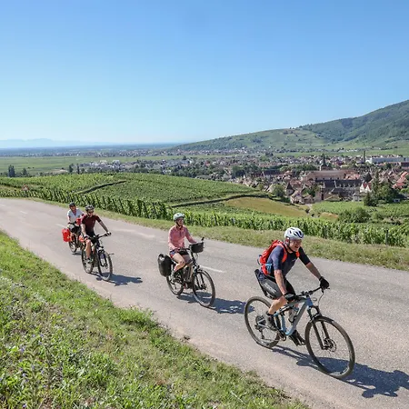 酒店 Maison Turenne 科尔马