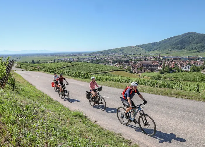Hotel Maison Turenne Colmar
